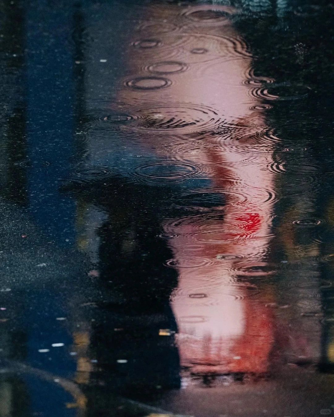 📷「值得收藏的摄影作品| Tran雨中倒影