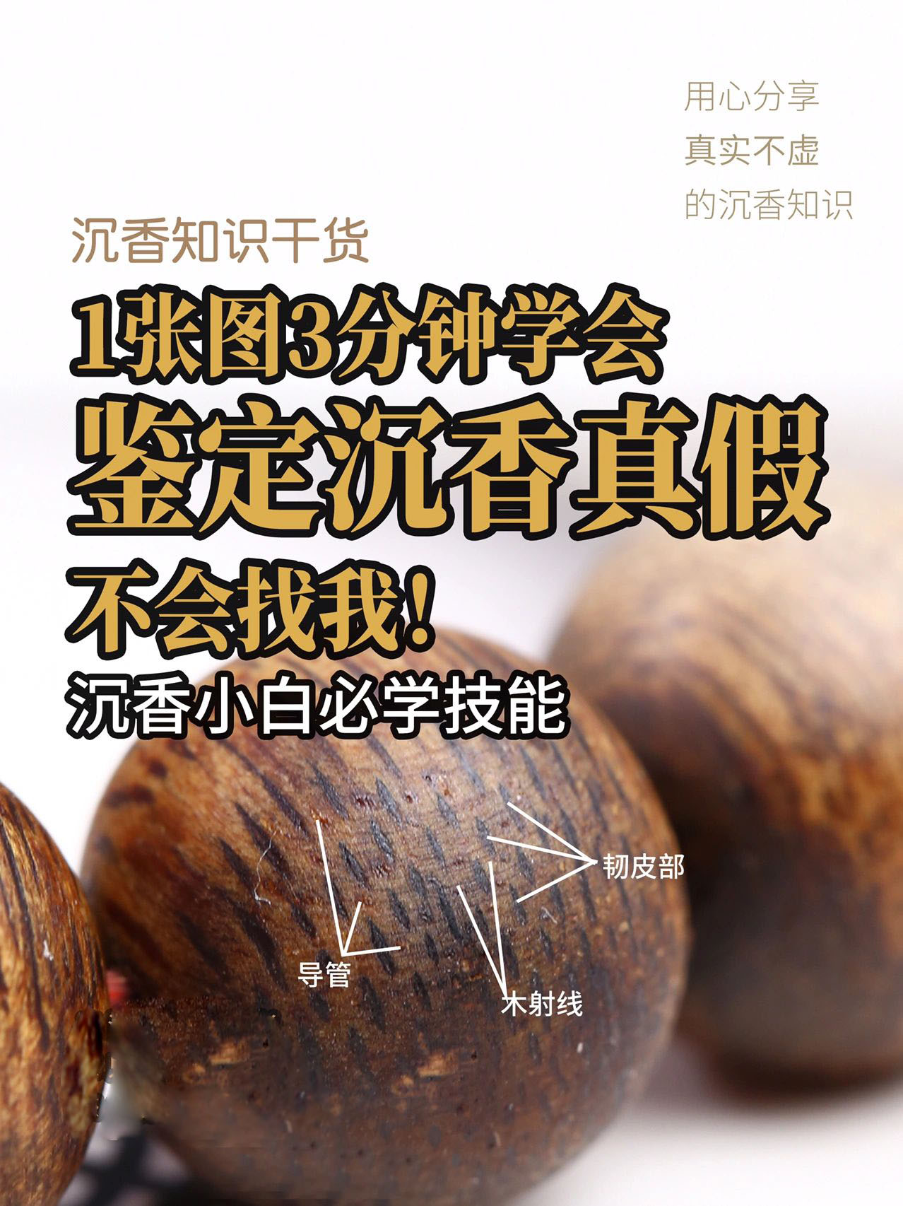 一看就会！3分钟学会鉴定沉香真假不会找我