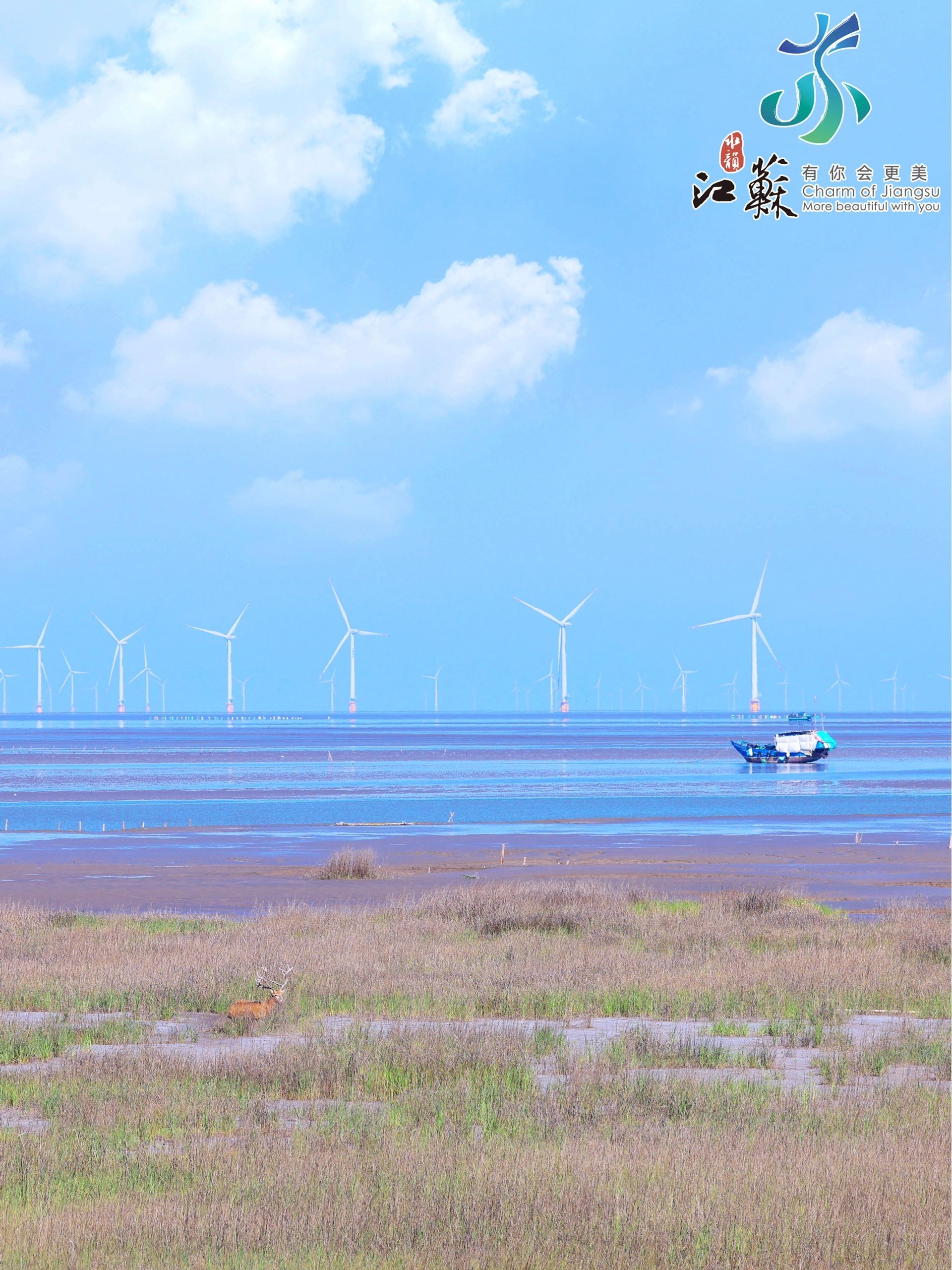 没出国｜盐城海边世界级湿地公园 出片绝了