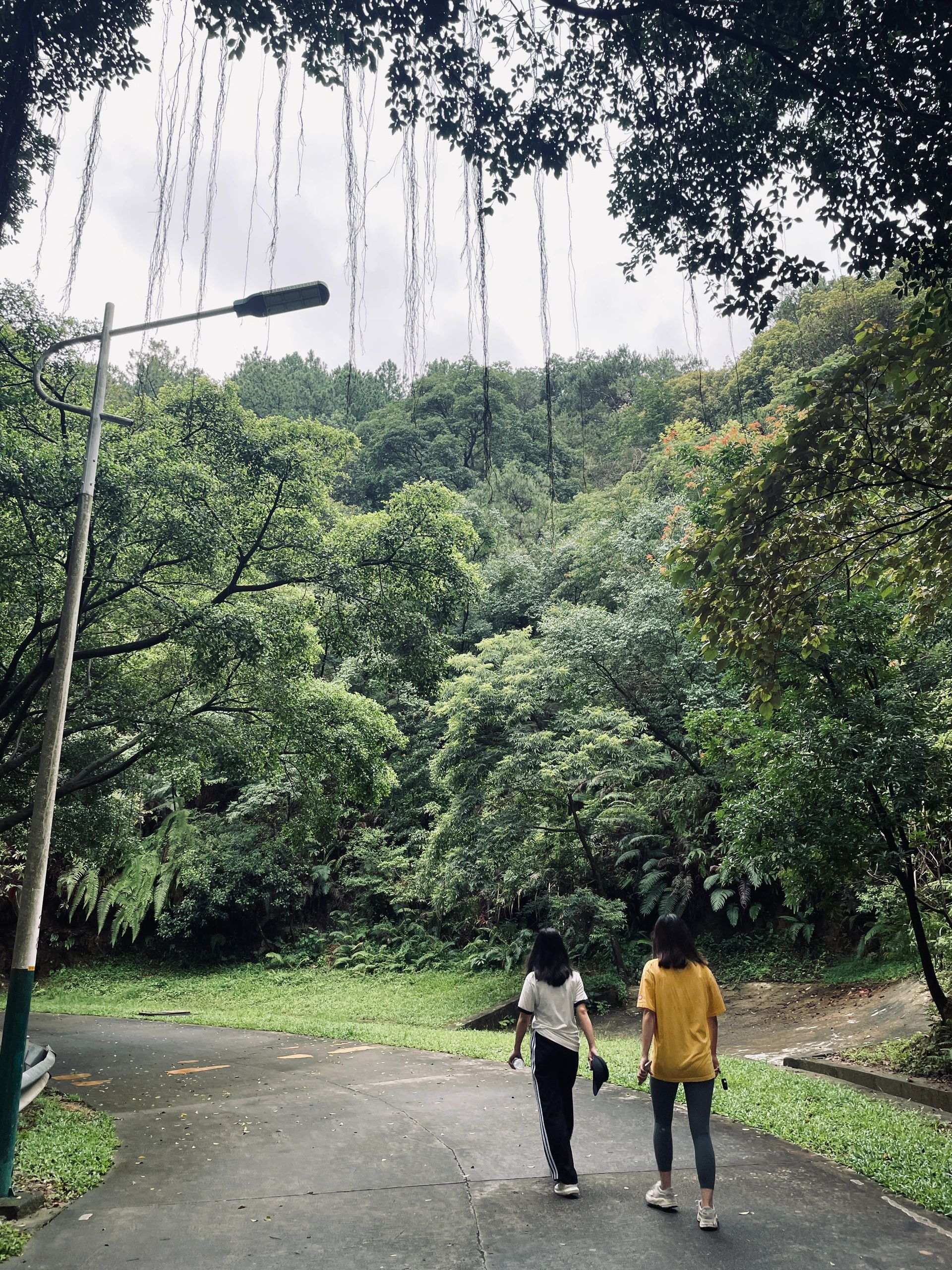 不仿试试爬山mountain walk