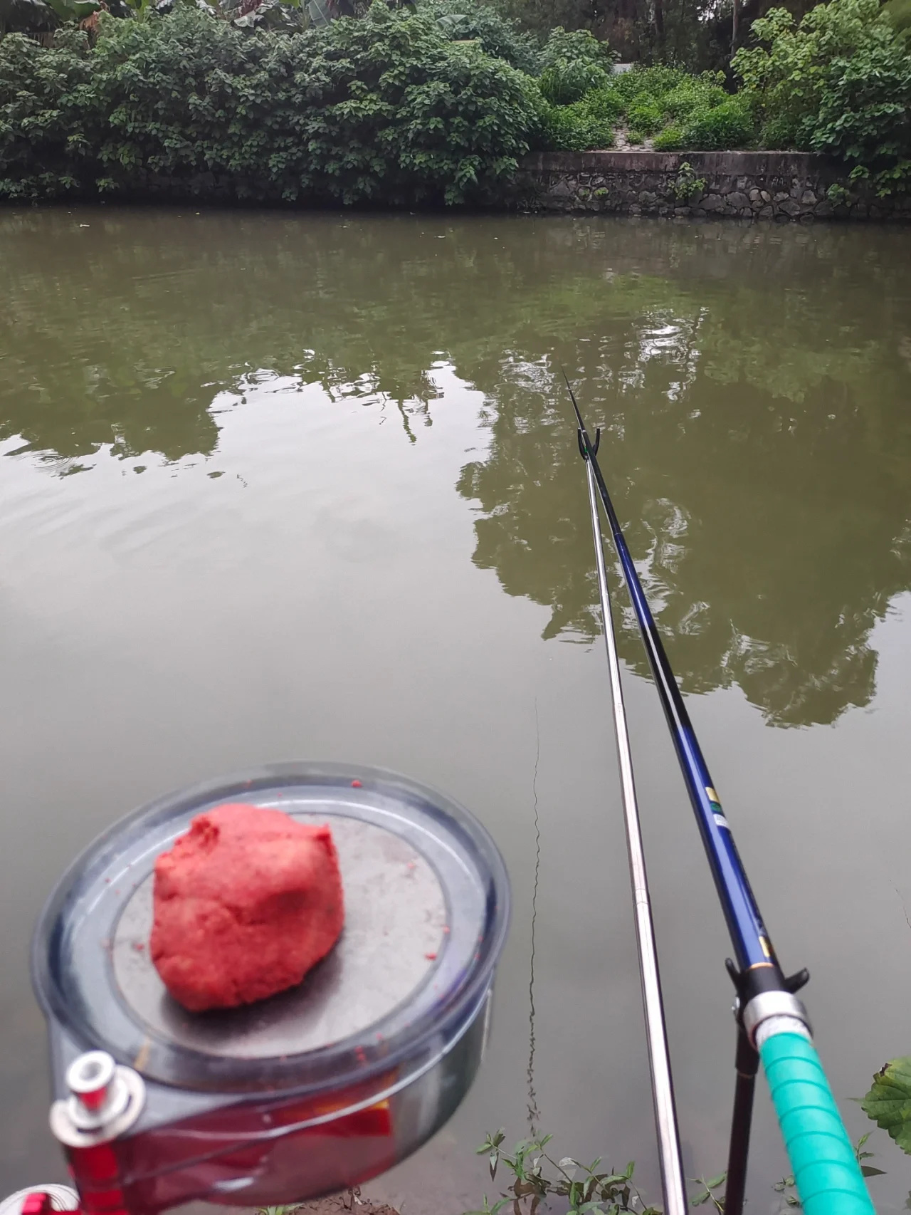 我的钓鱼日记 | 海珠湖上游的钓点
