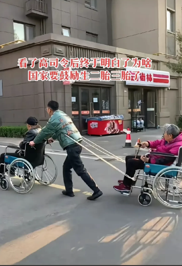 这大概就是国家为什么提倡二胎三胎的政策了  大概是为了老有所依
