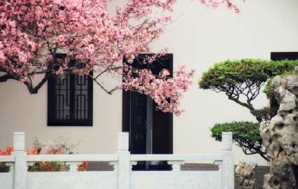 “ 若无闲事挂心头，便是人间好时节 ...” ​​​