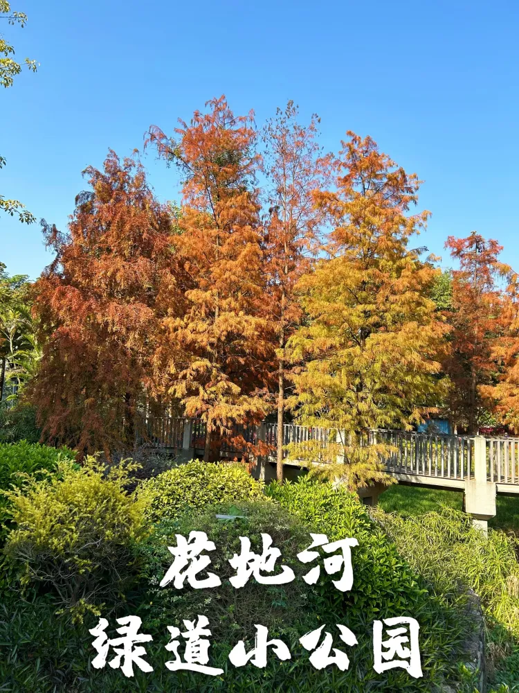 现一个超级宝地适合露营