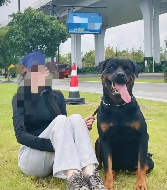 四川咬人黑狗主人唐某依已被刑事拘留，必须严肃处理。罗威纳犬本就是禁养烈性犬之一，