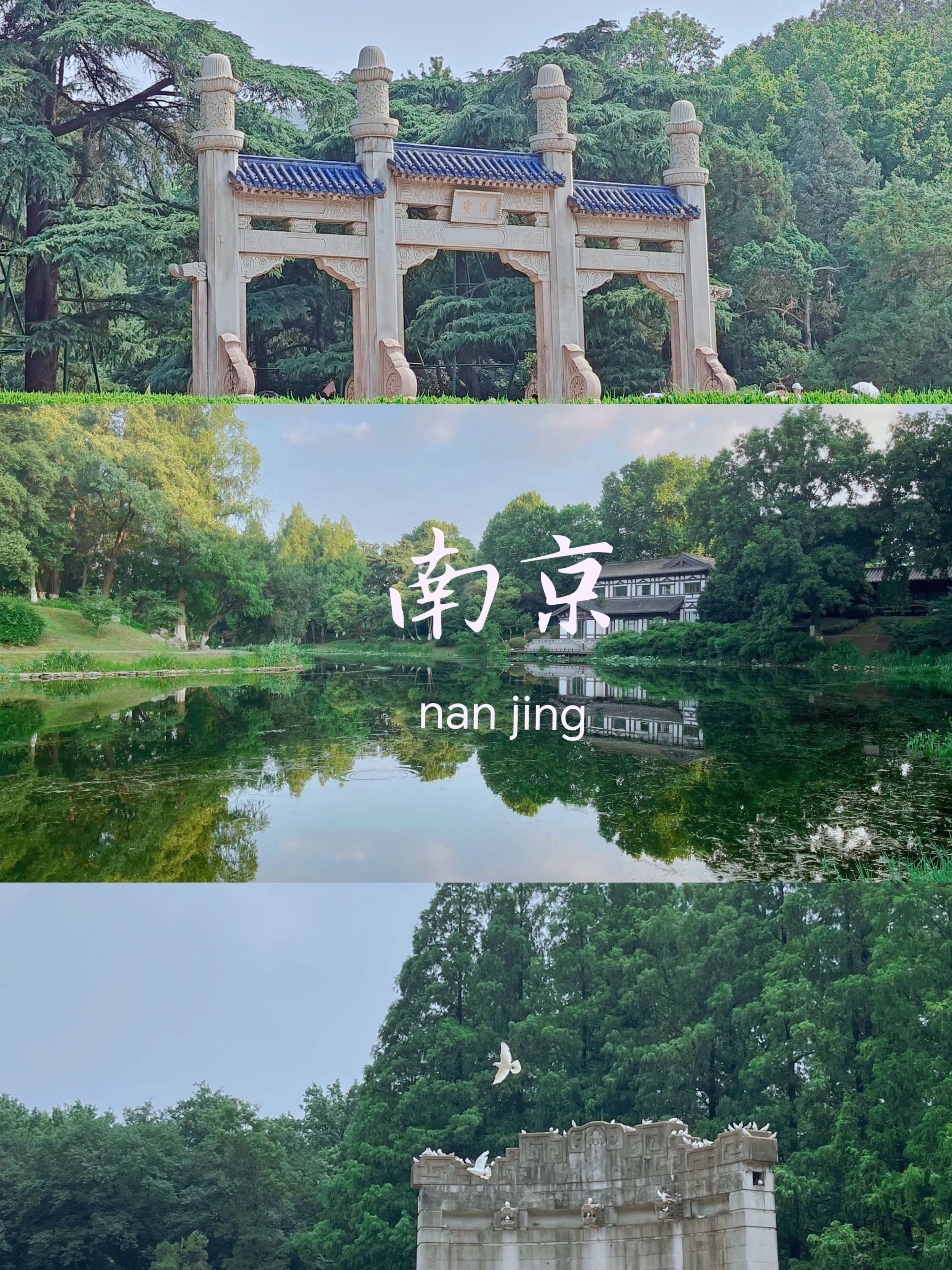 想来南京的姐妹🌟超详旅行攻略