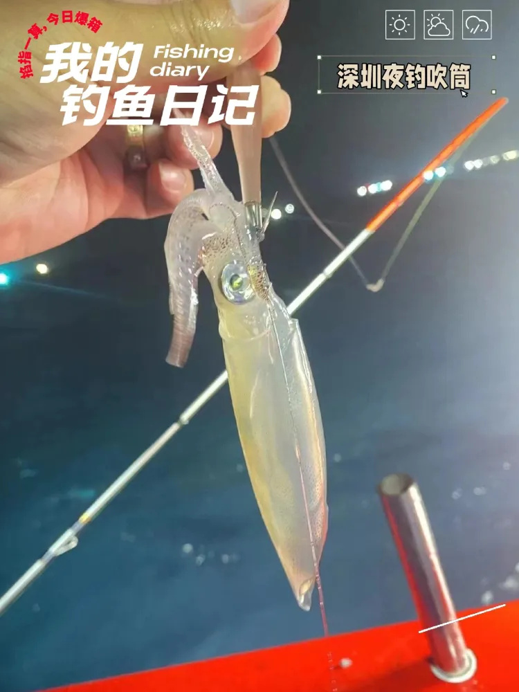 深圳海钓｜钓吹筒好玩又美味