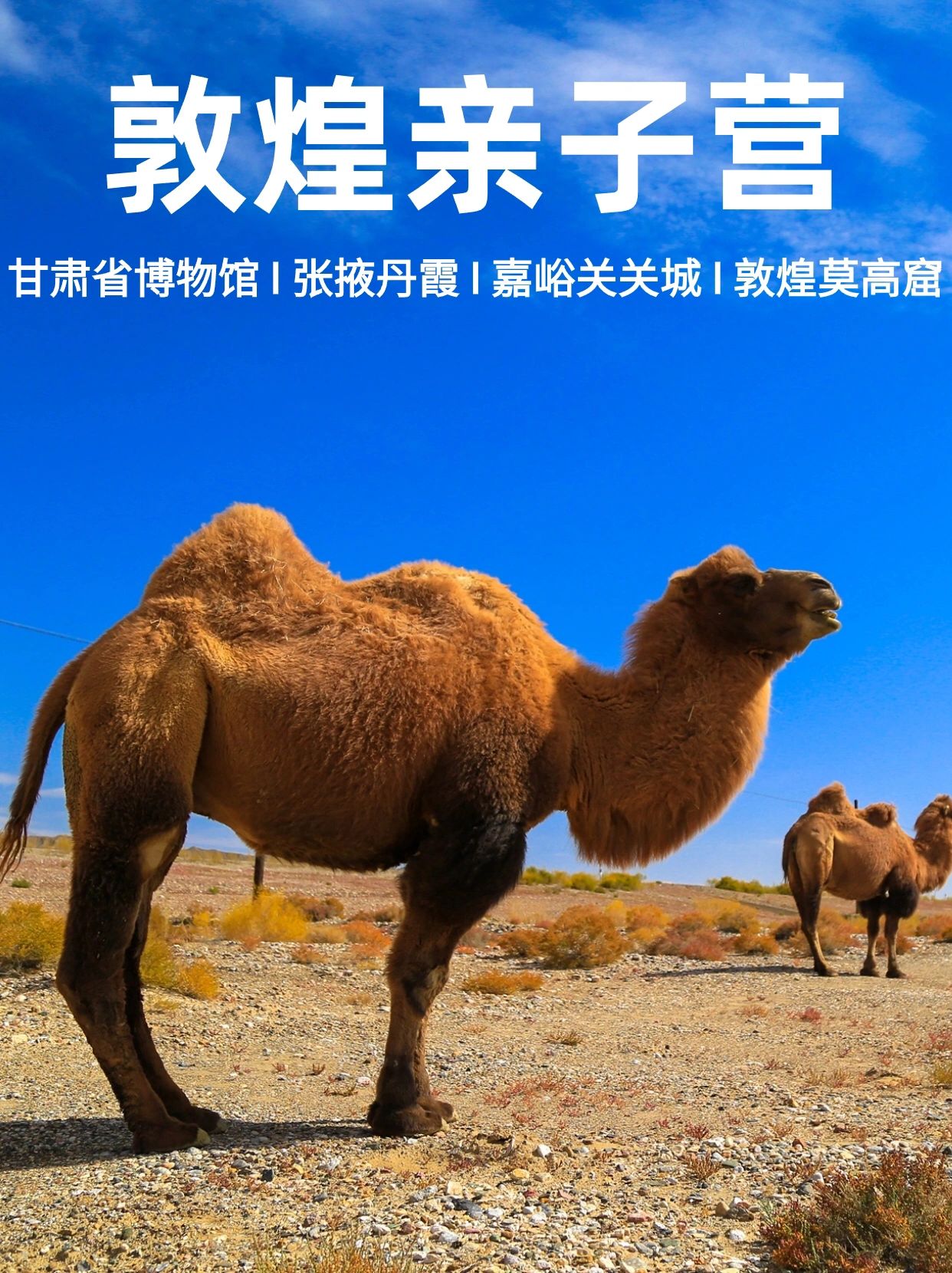 带孩子走入西北，去用脚步丈量真正的河西