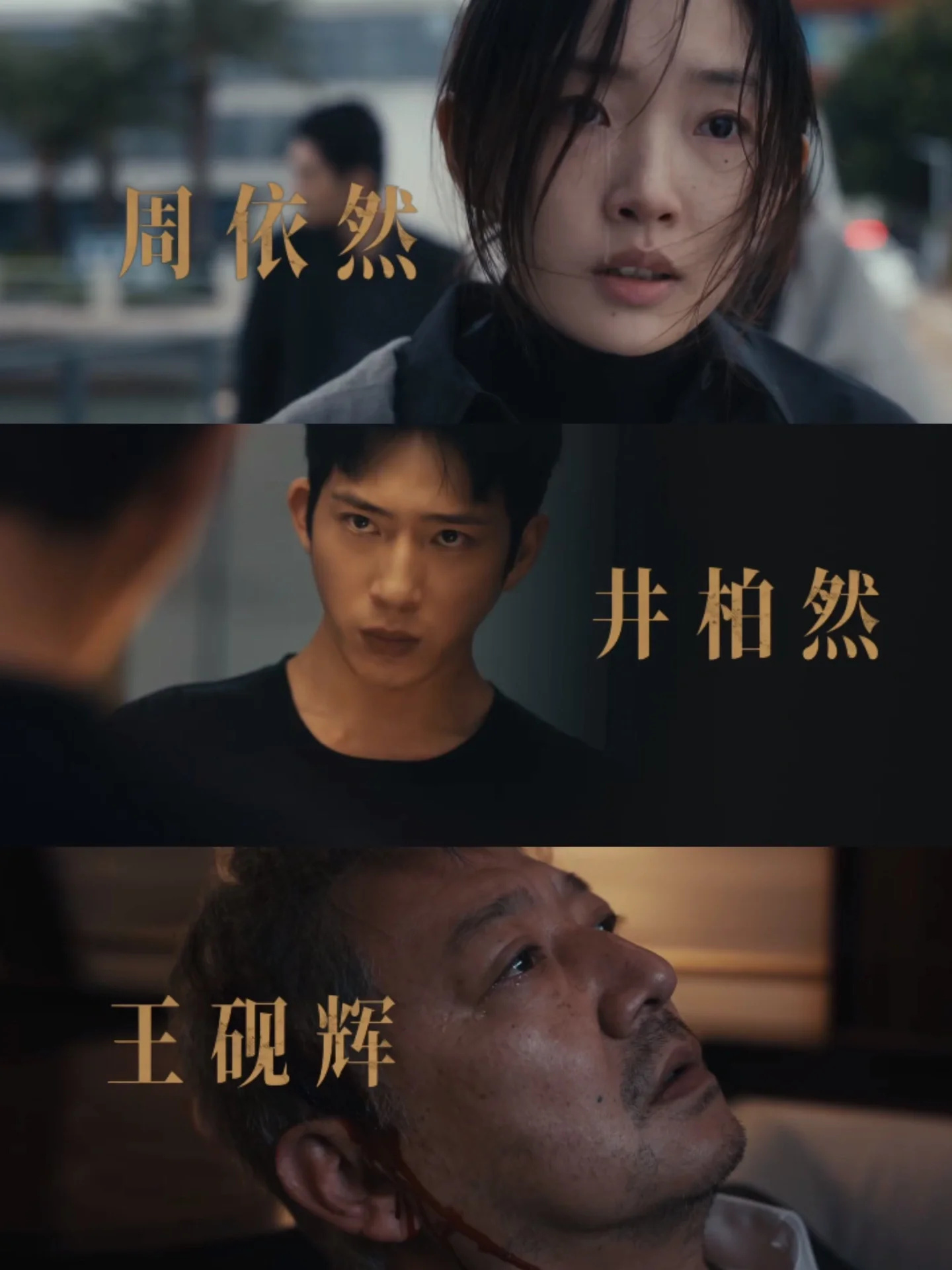 孤注一掷导演悬疑新作‼️