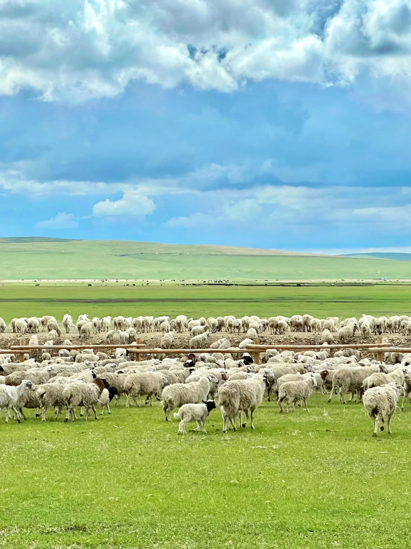 呼伦贝尔旅游攻略省💰省⏰想去的可以看看