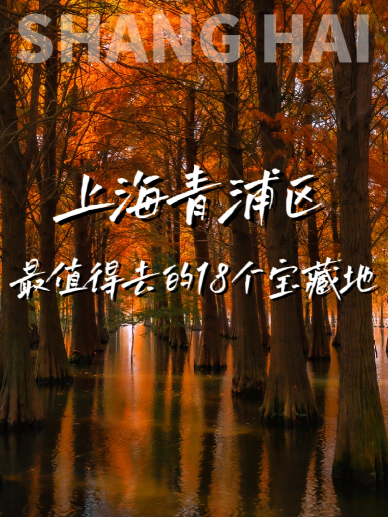 上海青浦区最值得去的18个宝藏地