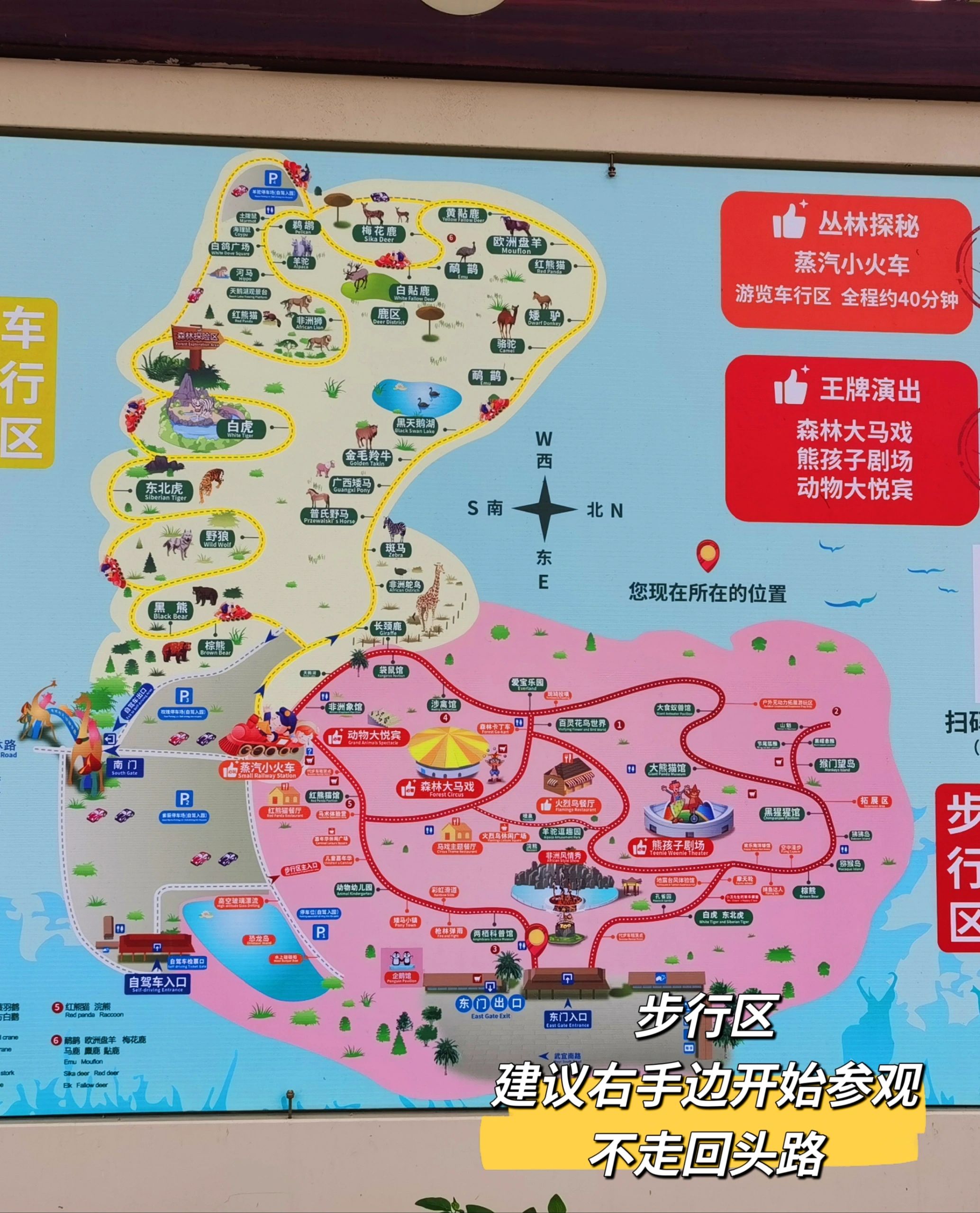 我找到和企鹅，熊猫互动的动物园