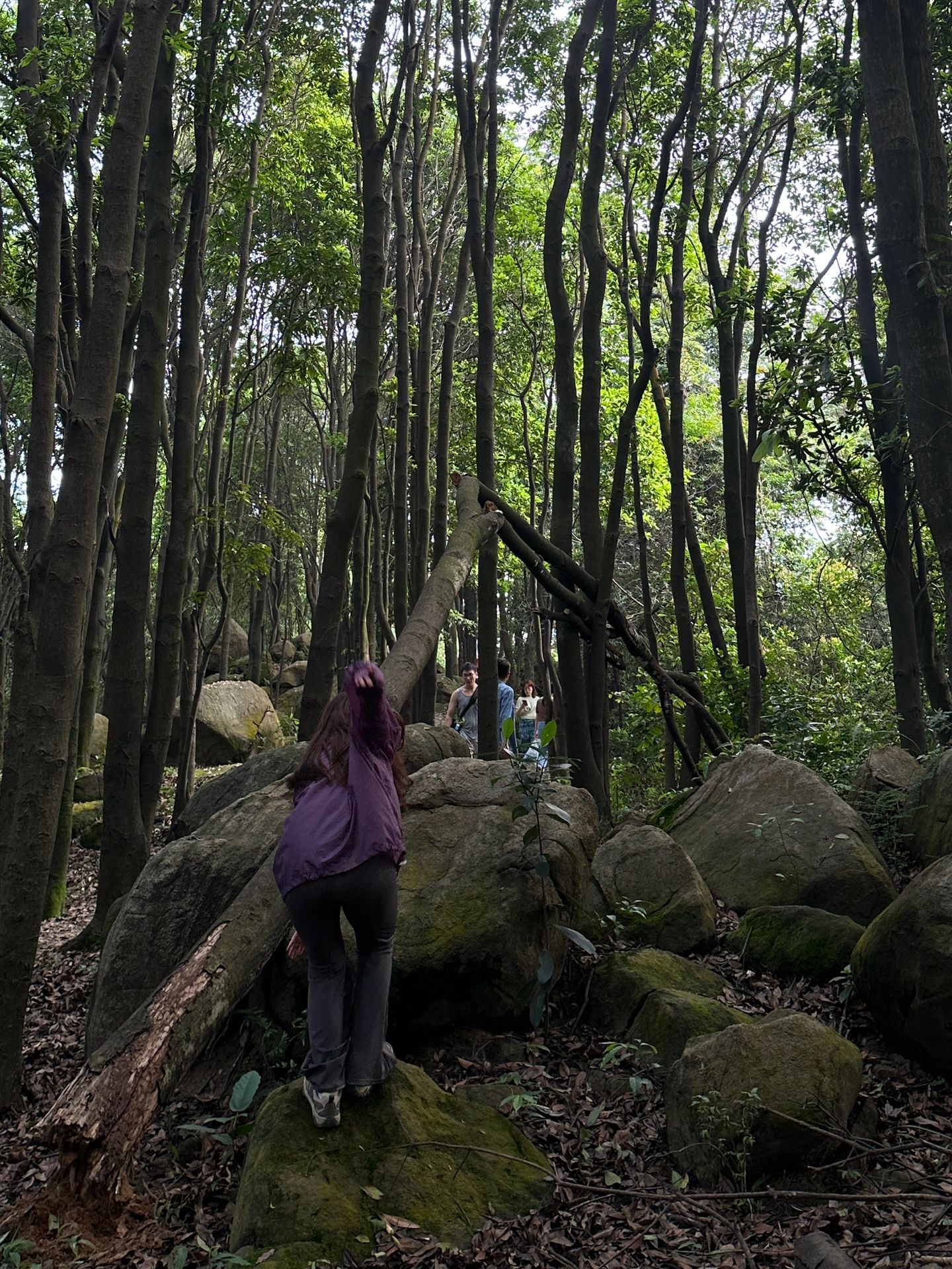 广州徒步猪龙线 高塘石地铁站出发