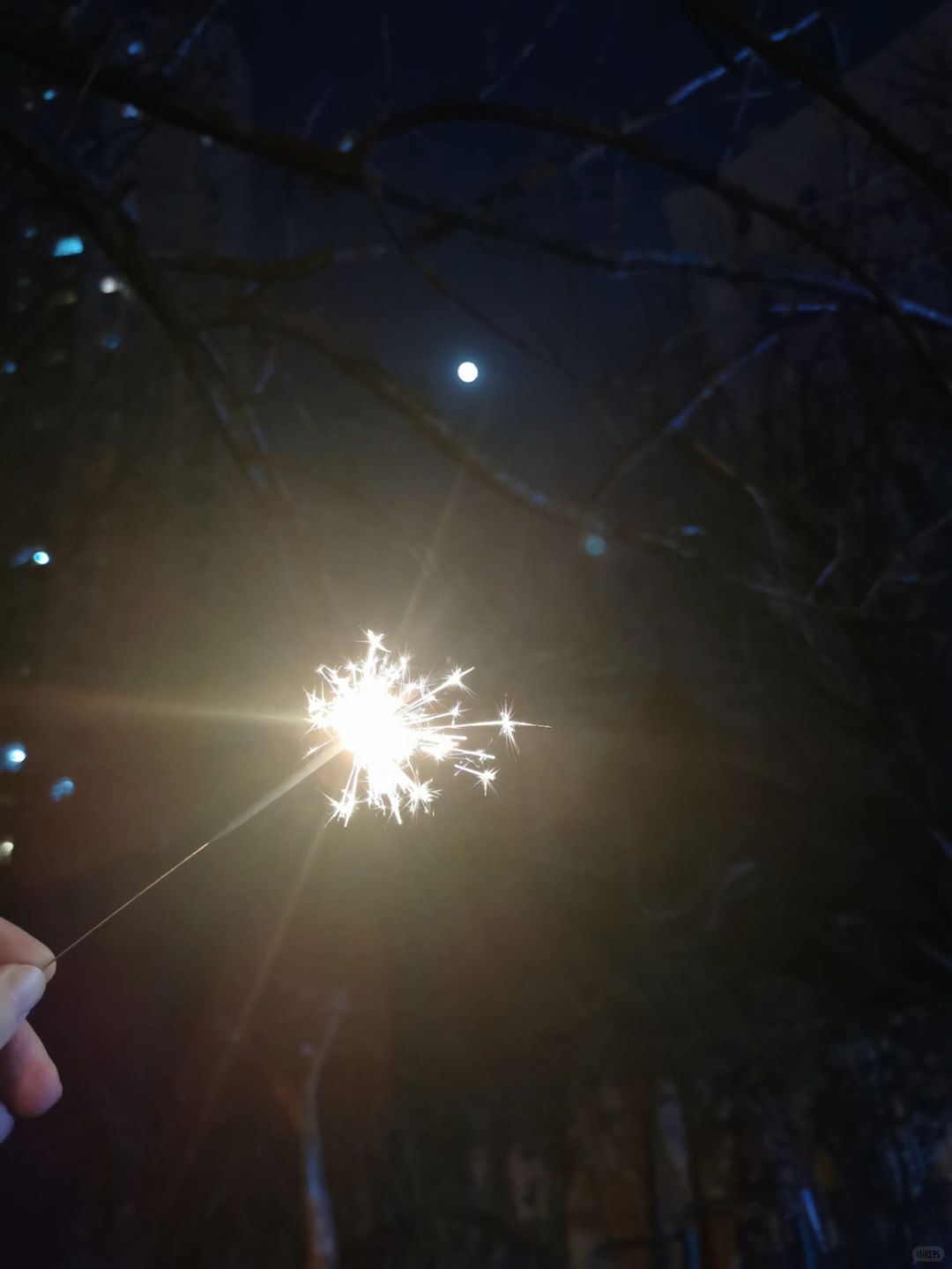 仙女棒🎆与奇异博士的传送门🚪