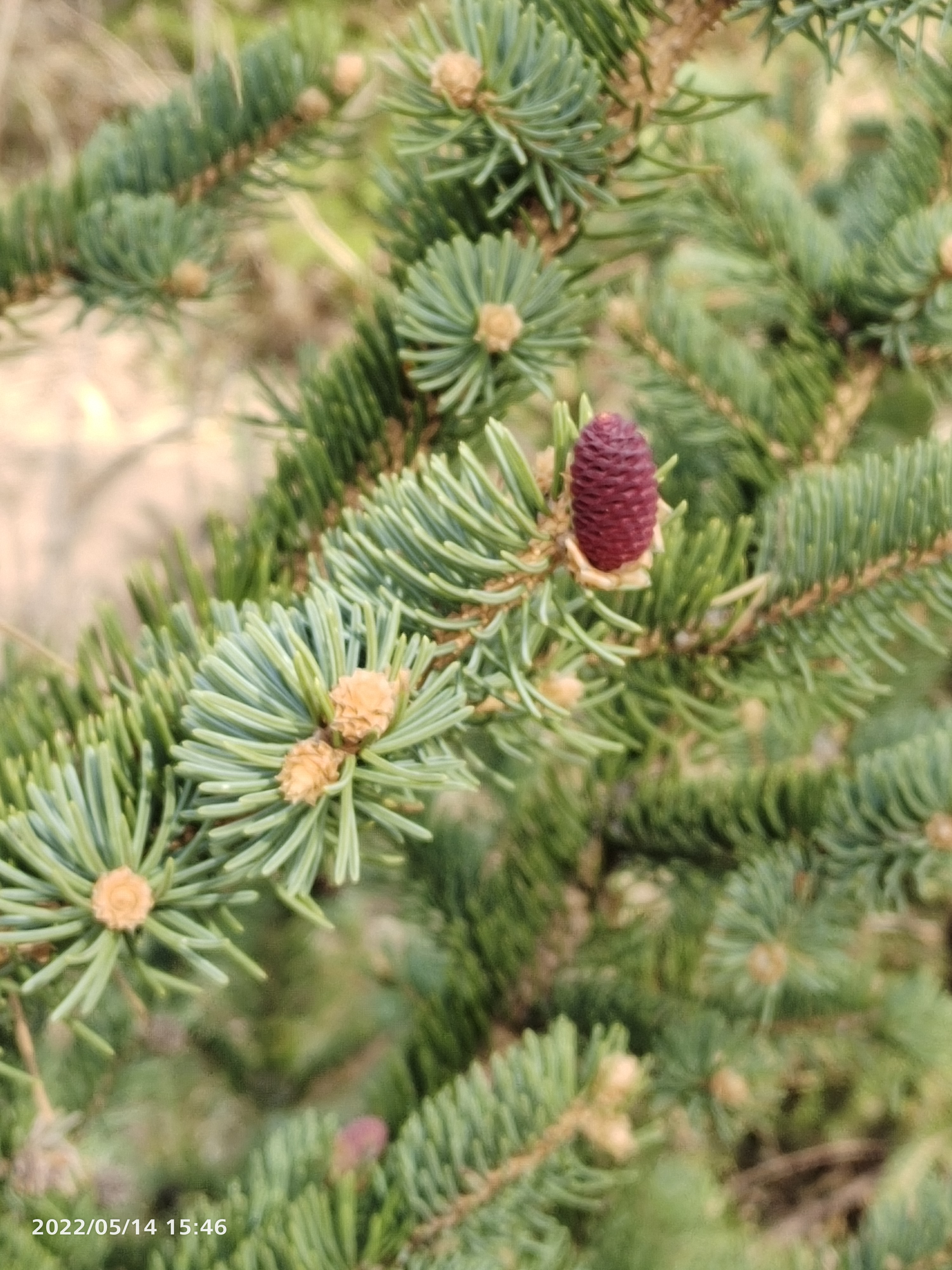 自我认知的重要性