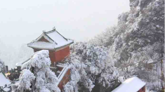 北京下雪
在故宫边听《步步惊心》边赏雪达成✓