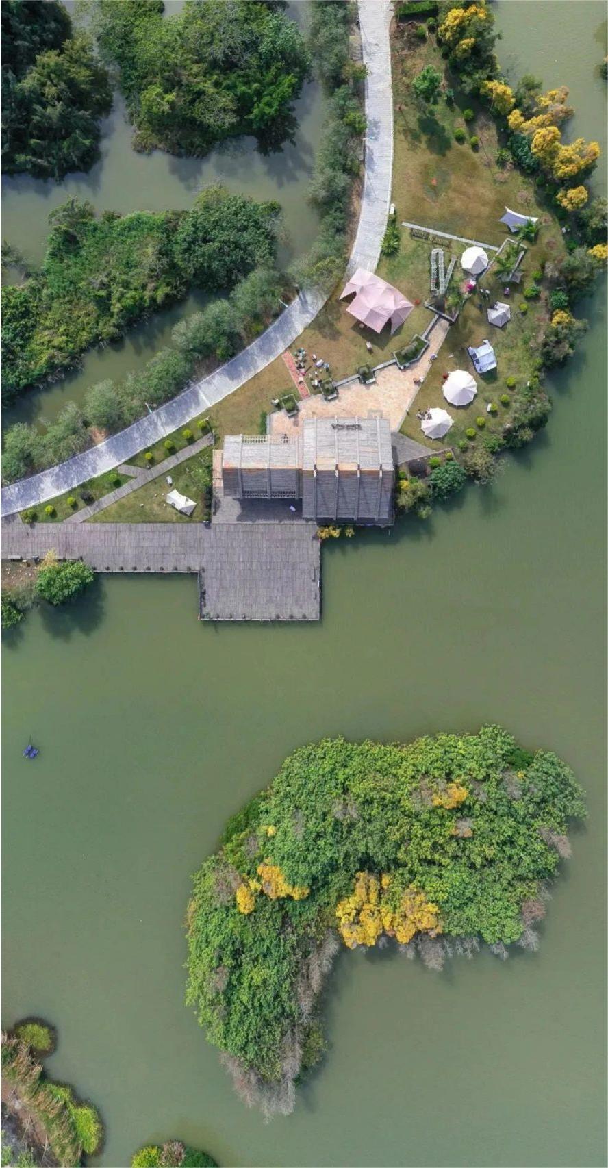 广州露营地🏕️盘点‼️周末踏青烧烤团建