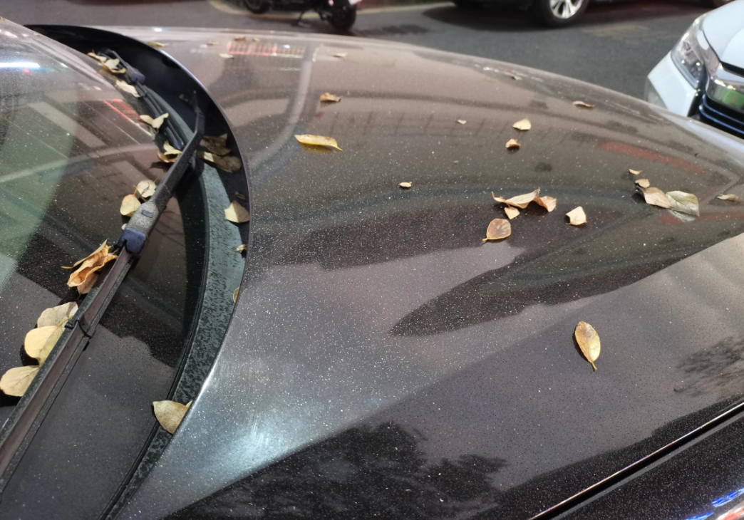 今天下午，我报警了！

因为车子不知道被喷了油还是糖水，几乎满车，树叶飘下来都粘