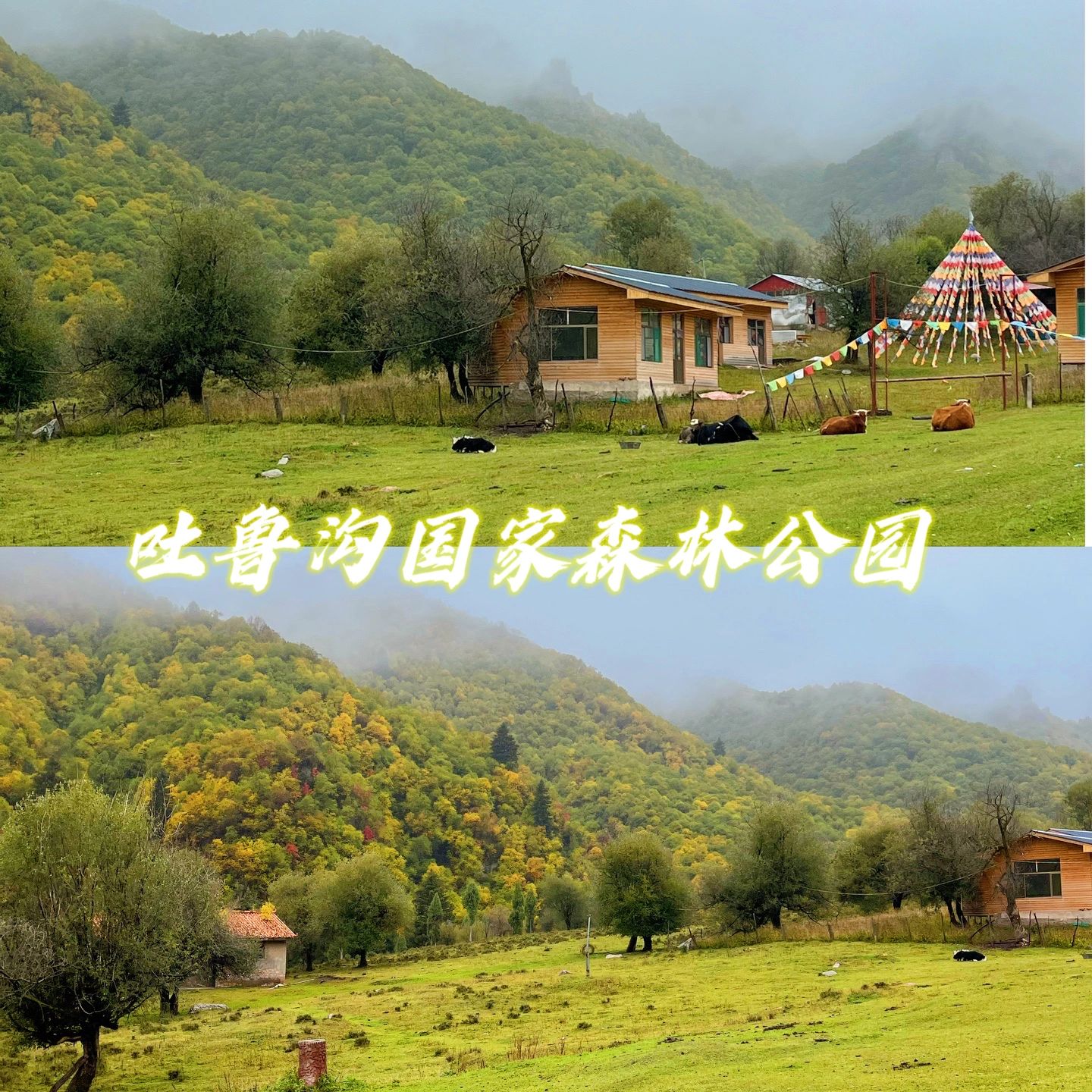 赏秋好去处，兰州1日游小众景点