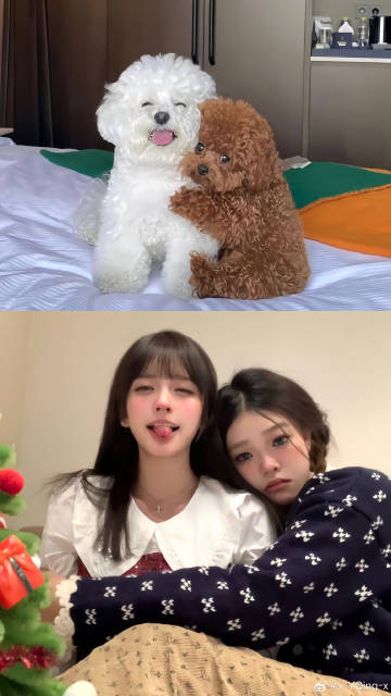 要爱她圆圆的脸 而不是瘦到见骨的手腕＞＜ ​