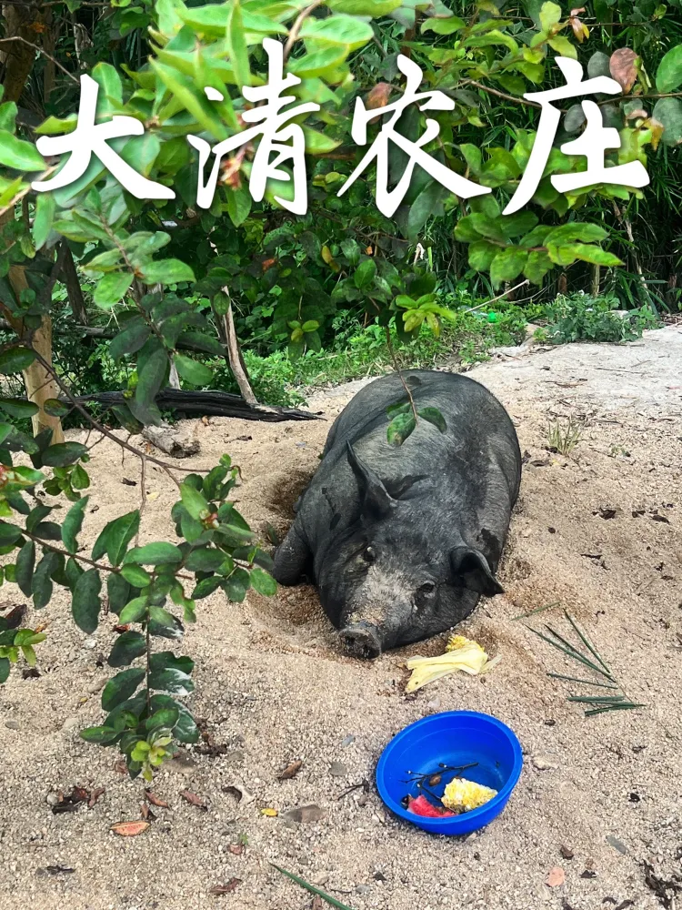 广州周边溯溪玩水宝地