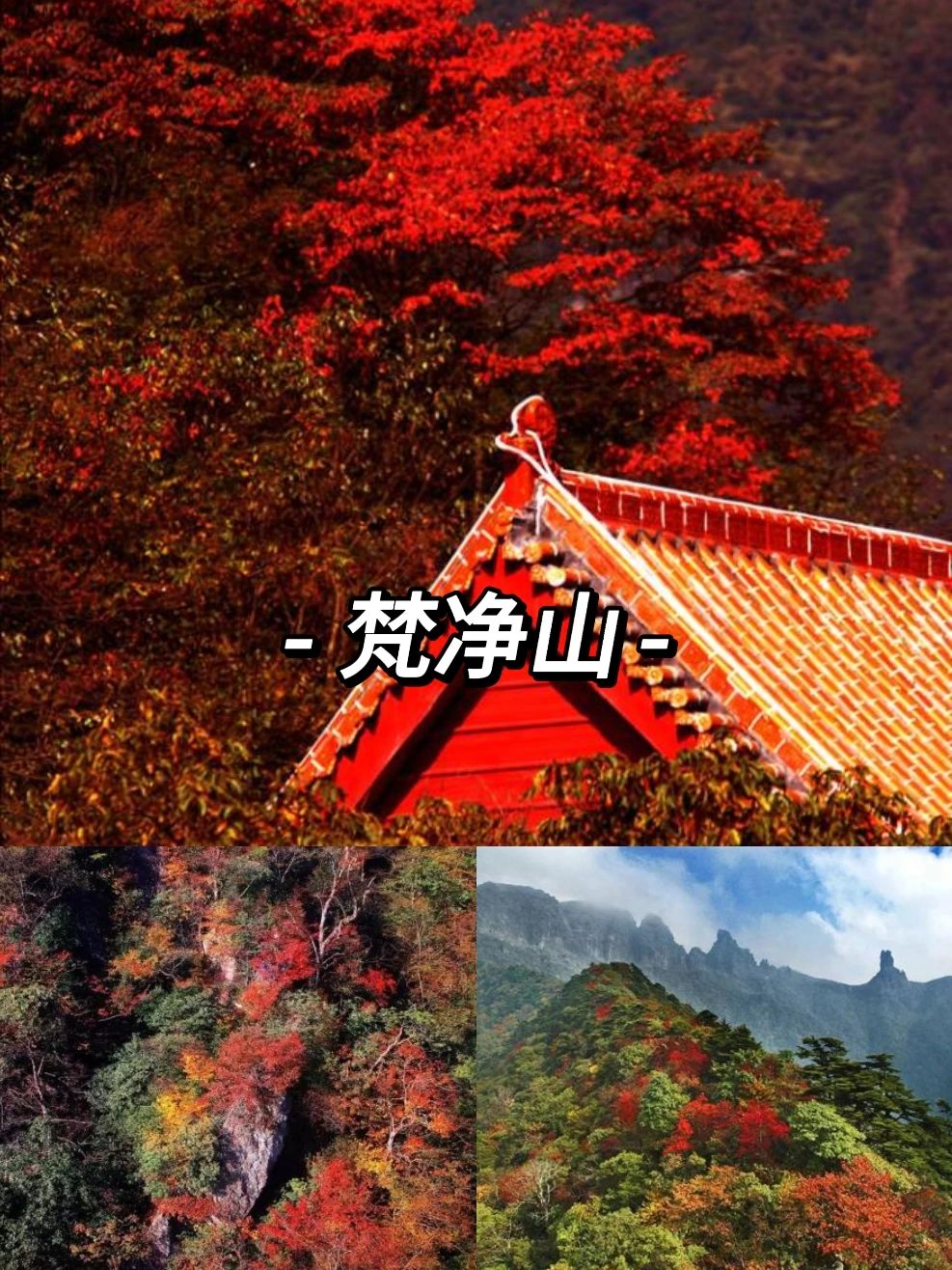 住进“枫”景里，一起看秋天的美