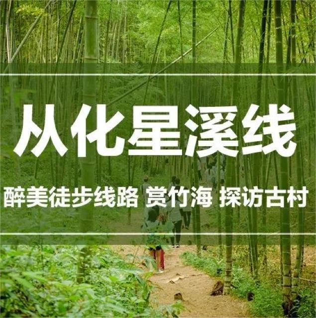 广州最美徒步路线丨从化星溪线，穿越竹海