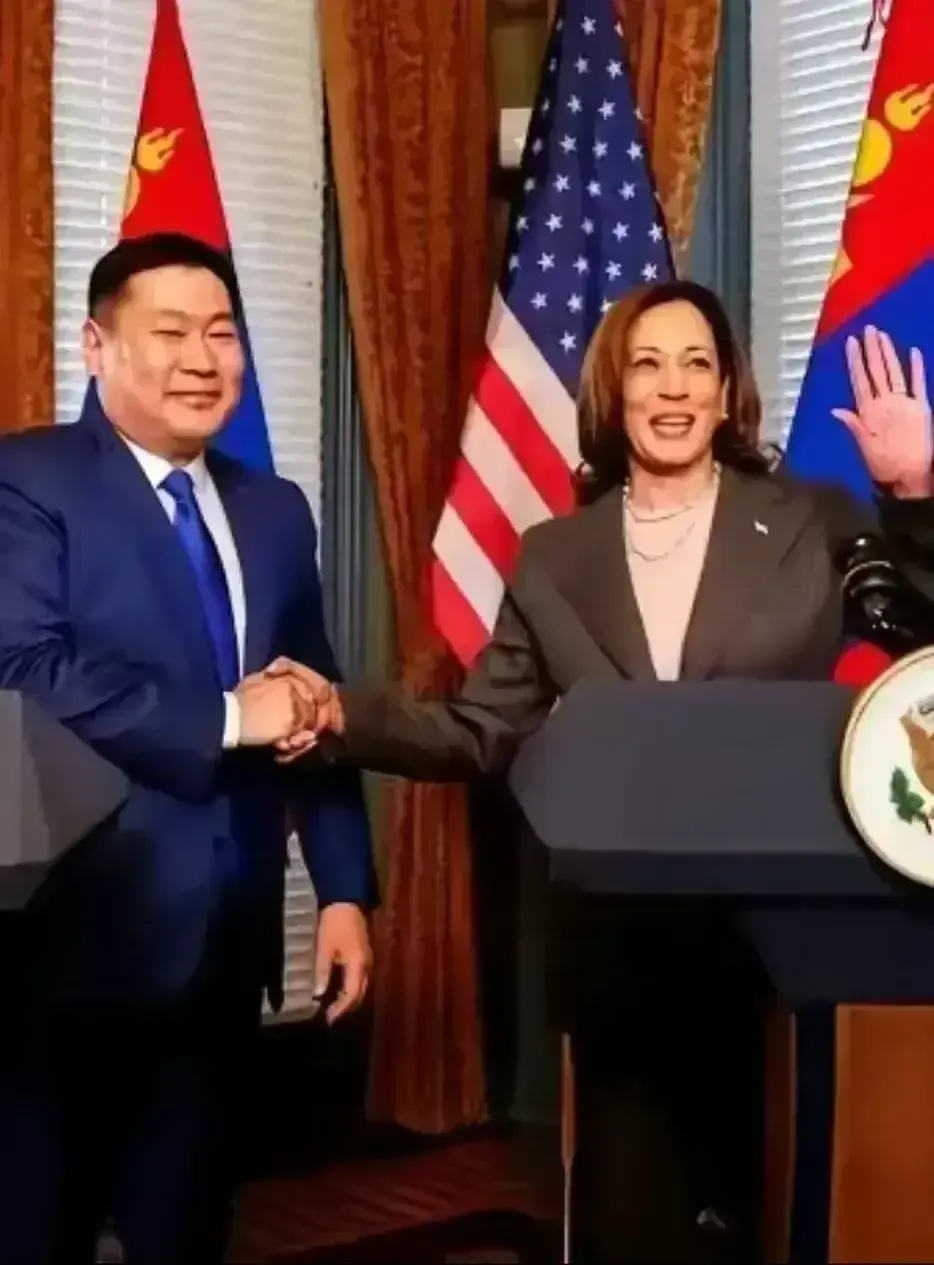 在稀土交易的梦想破灭后，蒙古总理无奈地面对了现实，他表示，尽管他们有丰富的稀土资