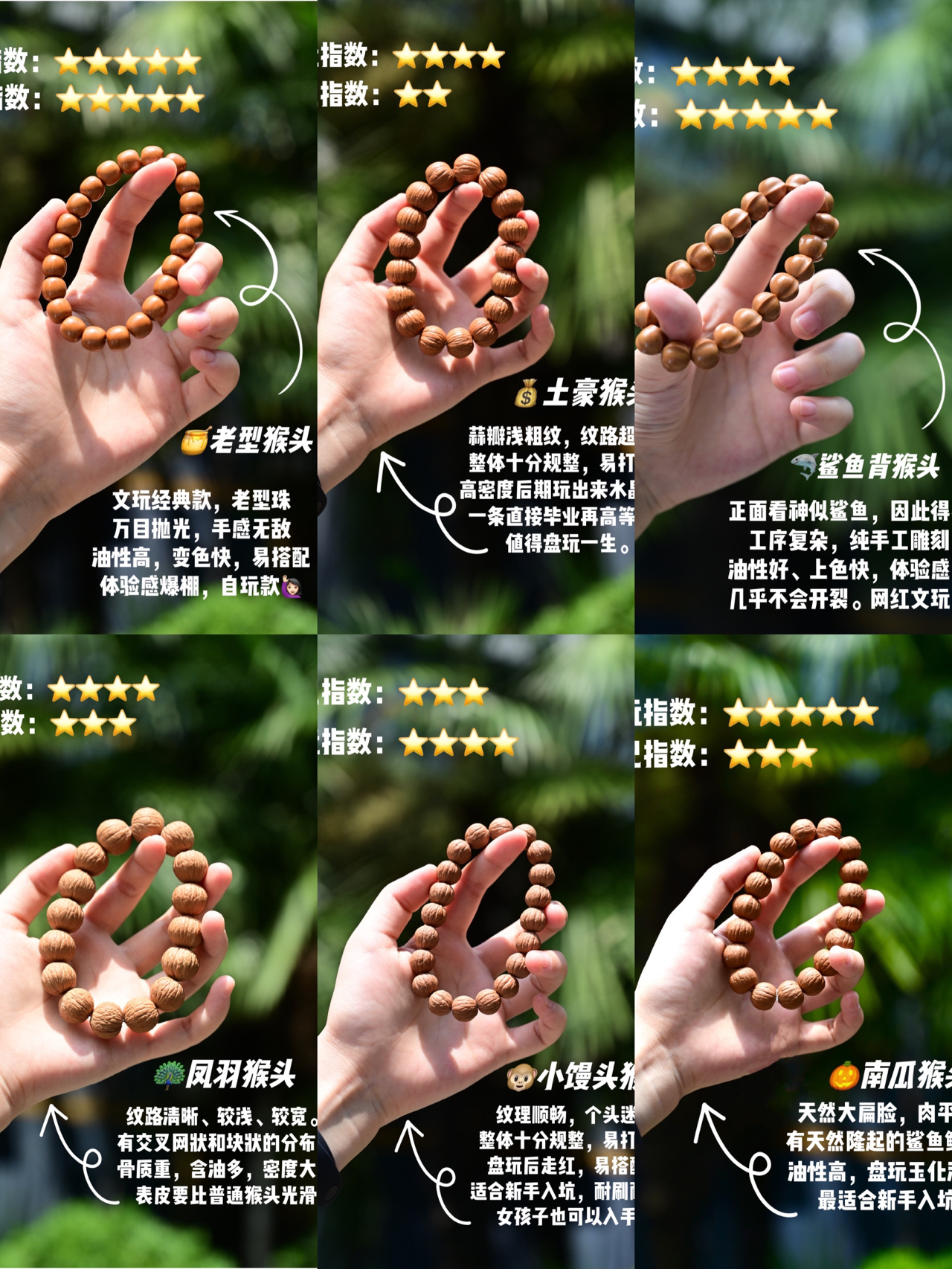 被夸了100遍的猴头才几百块|坑底躺平了
