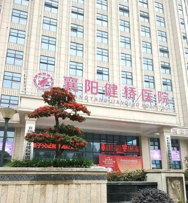 医院院长公开贩卖出生证贩卖婴儿，襄阳健桥医院院长叶某某勾结多地中介结构团伙利用社
