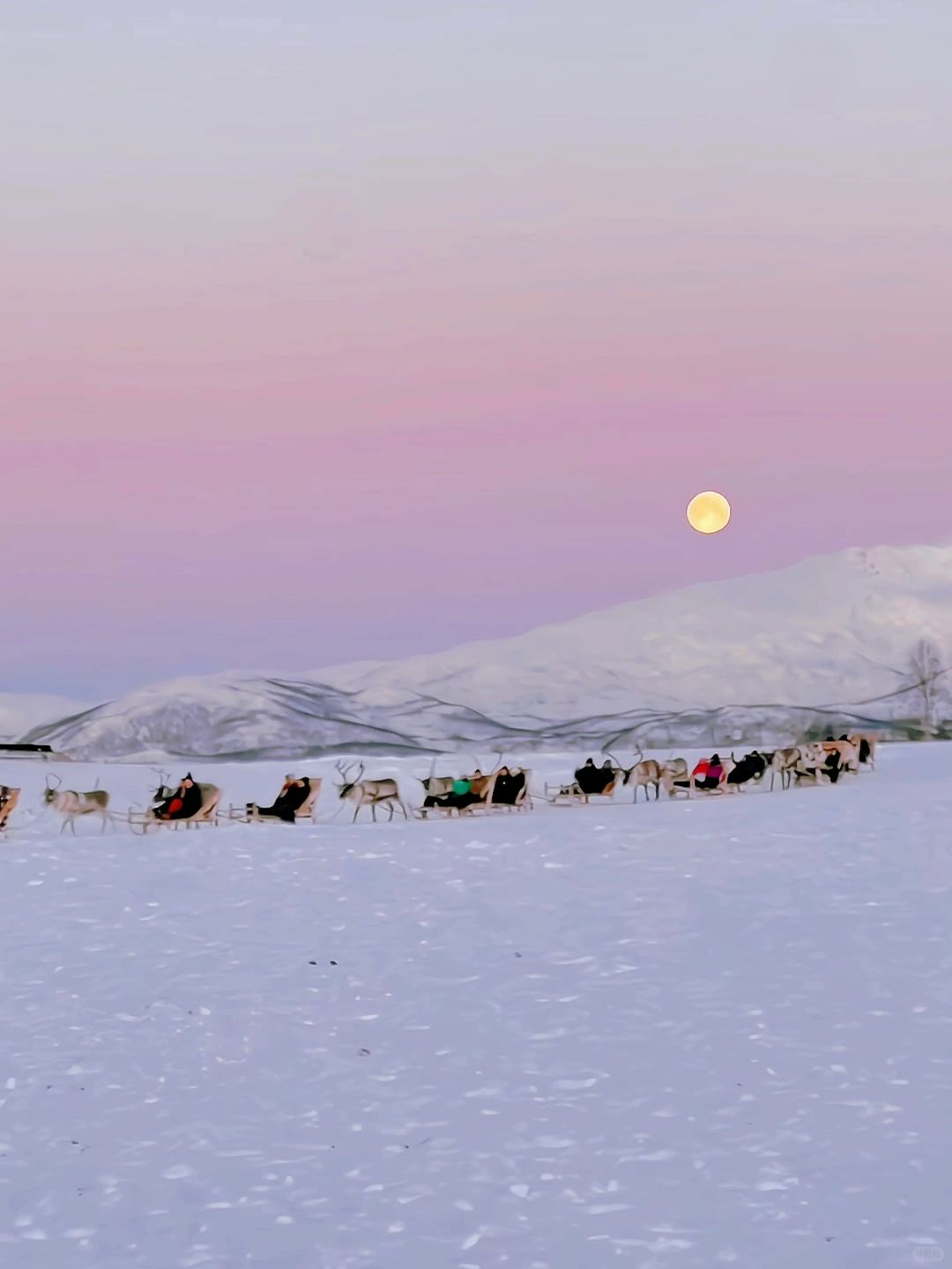 这大概就是live图存在的意义🦌🦌🦌🦌🦌
来自北极挪威的粉色落日
特罗