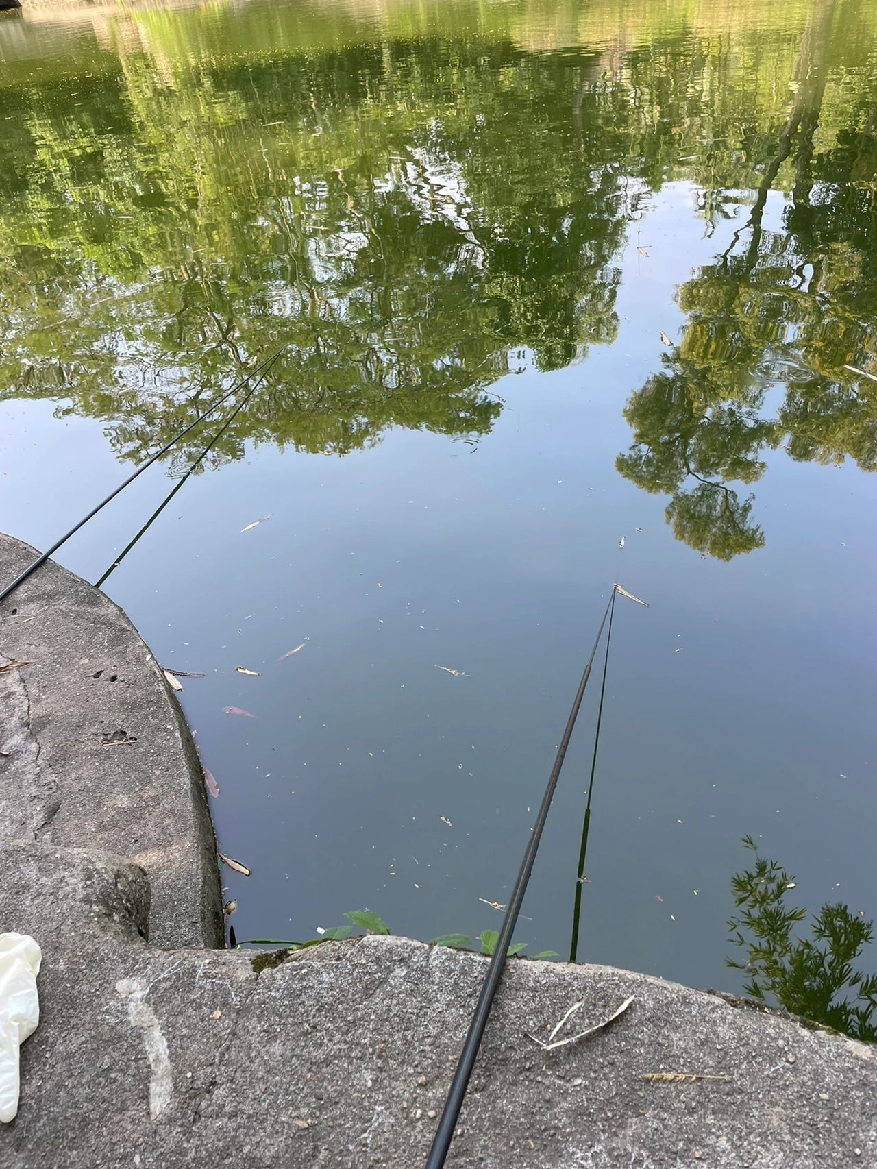 钓鱼🎣初体验