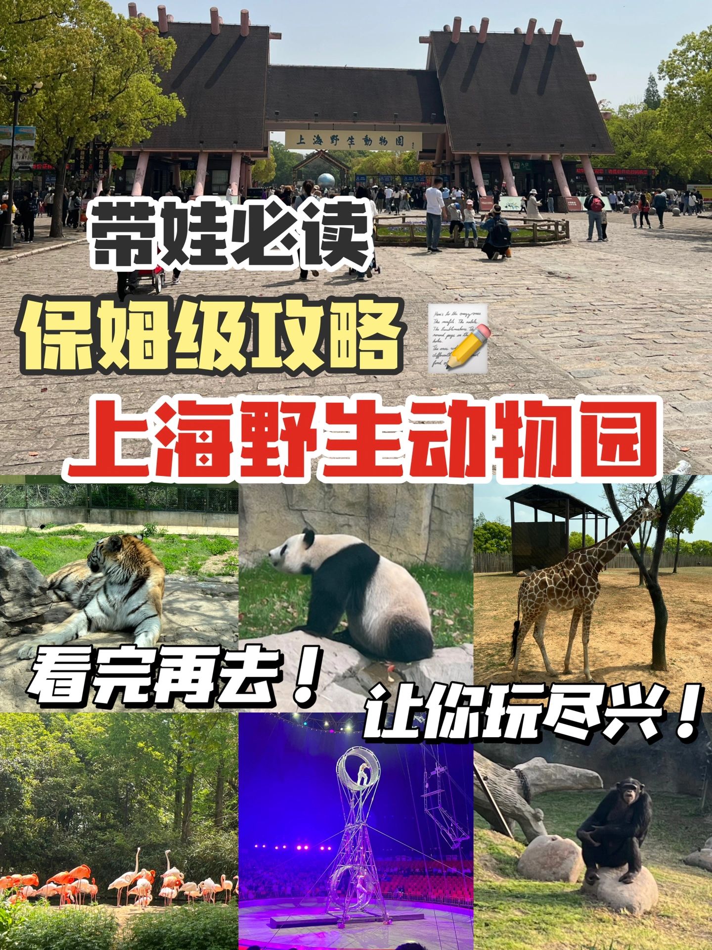 亲测路线，上海野生动物园打卡攻略