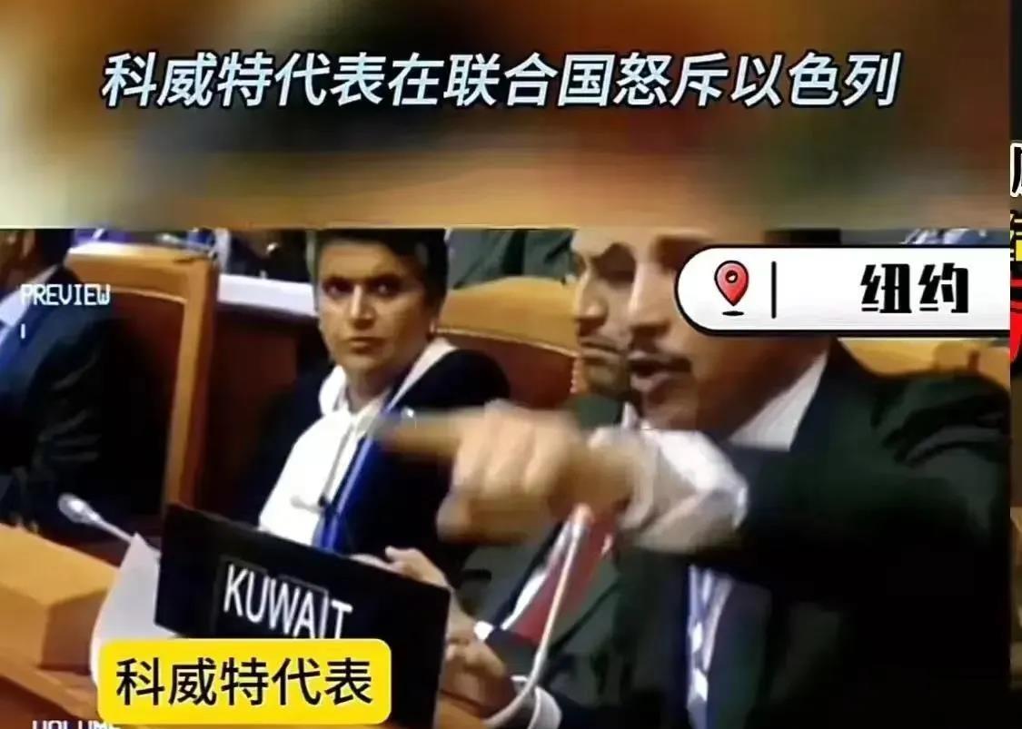 硬气，滚出联合国！
以色列又被中东一国家骂惨了，这次以色列没敢还嘴！
这个中东国