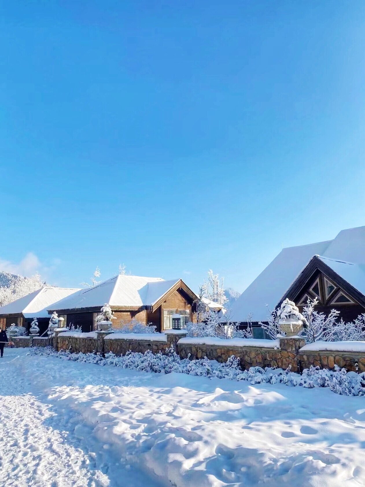 哈尔滨太远，就来川西看雪吧