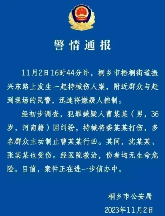 桐乡女律师被锤砸成重伤！
房子烂尾了，首付款打水漂了，欠银行几十万，无端被骗上百