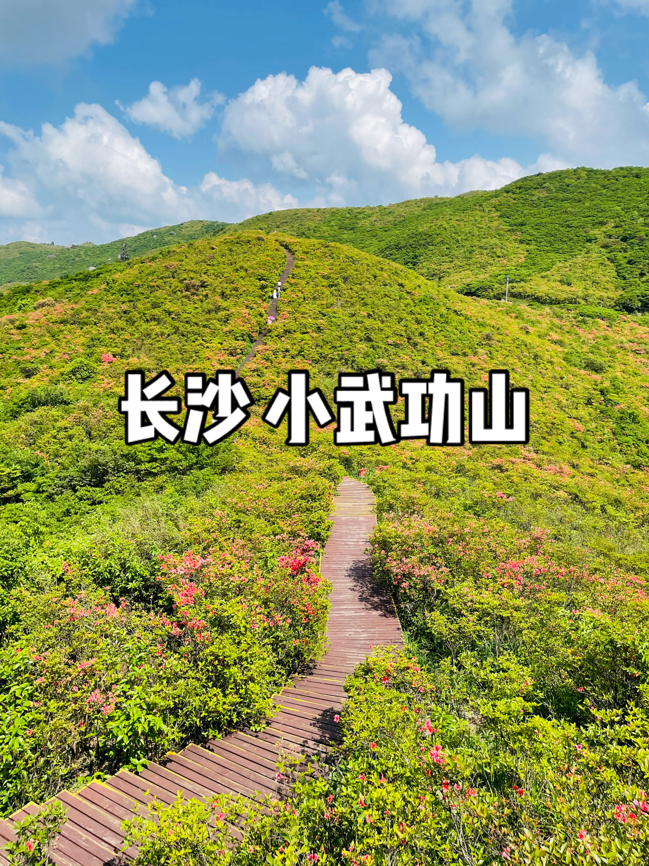 长沙周边游｜人均200元玩转浏阳大围山