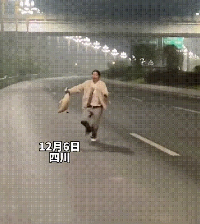 这女子的做法算不讲武德吗？

近日，四川一女子在驾车行驶过程中发现路上有一只无家