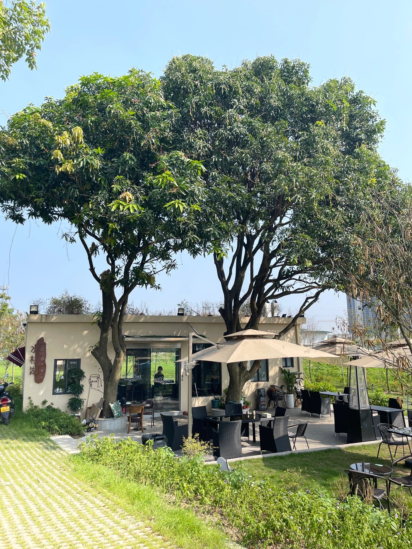 广州南沙一宝藏地 露营下午茶 人少安静