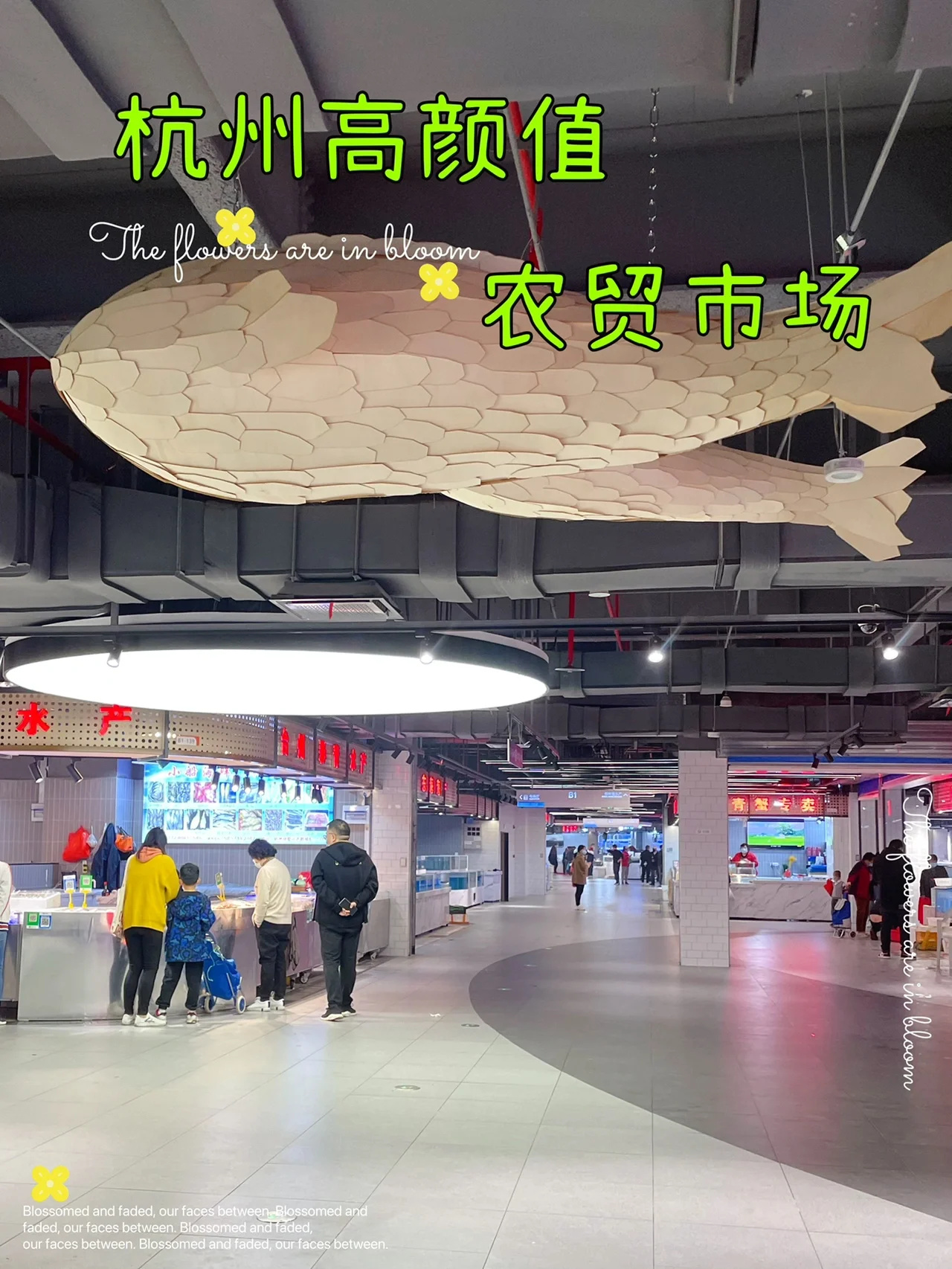 杭州高颜值农贸市场🥕菜篮子，米袋子肉案