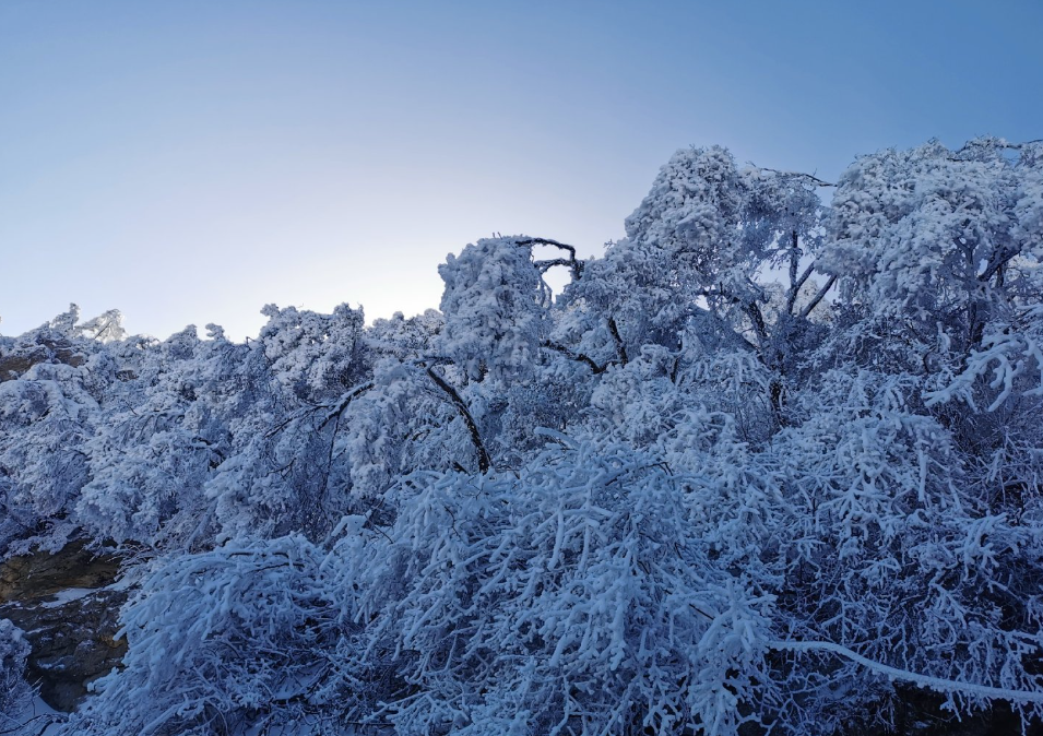 洛阳老君山到底有多美，发几张上山赏雪的图，美不美看图说话