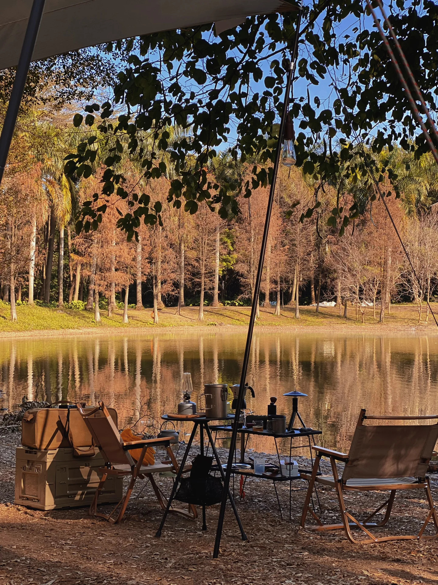 广州｜绝佳小众露营点🏕