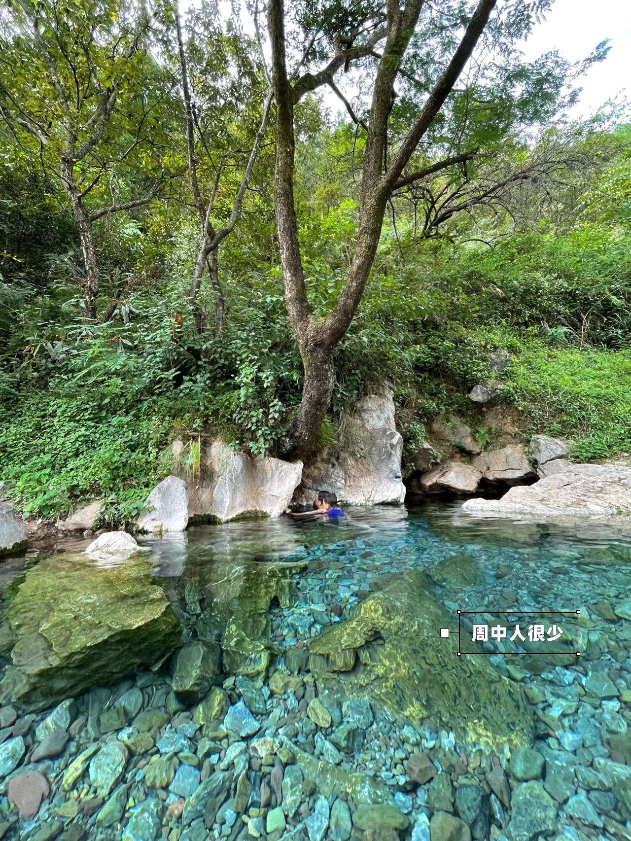 羊吃蜜｜大理山中的宝藏野温泉♨️