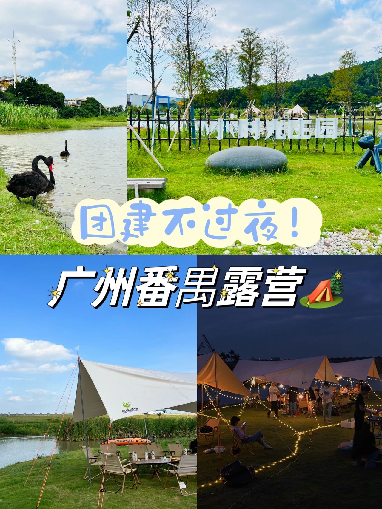 露营地居然有黑天鹅！广州番禺小时光庄园