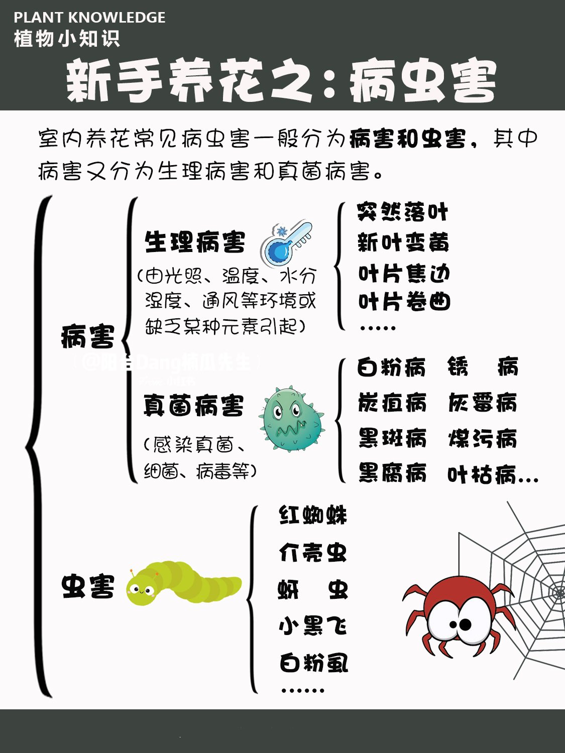 常见病虫害防治用药#杀菌剂农药#
