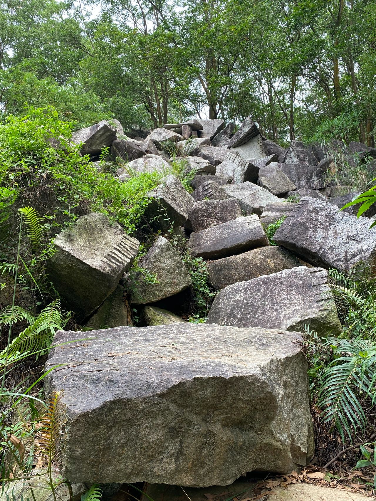 广州徒步】牛木线