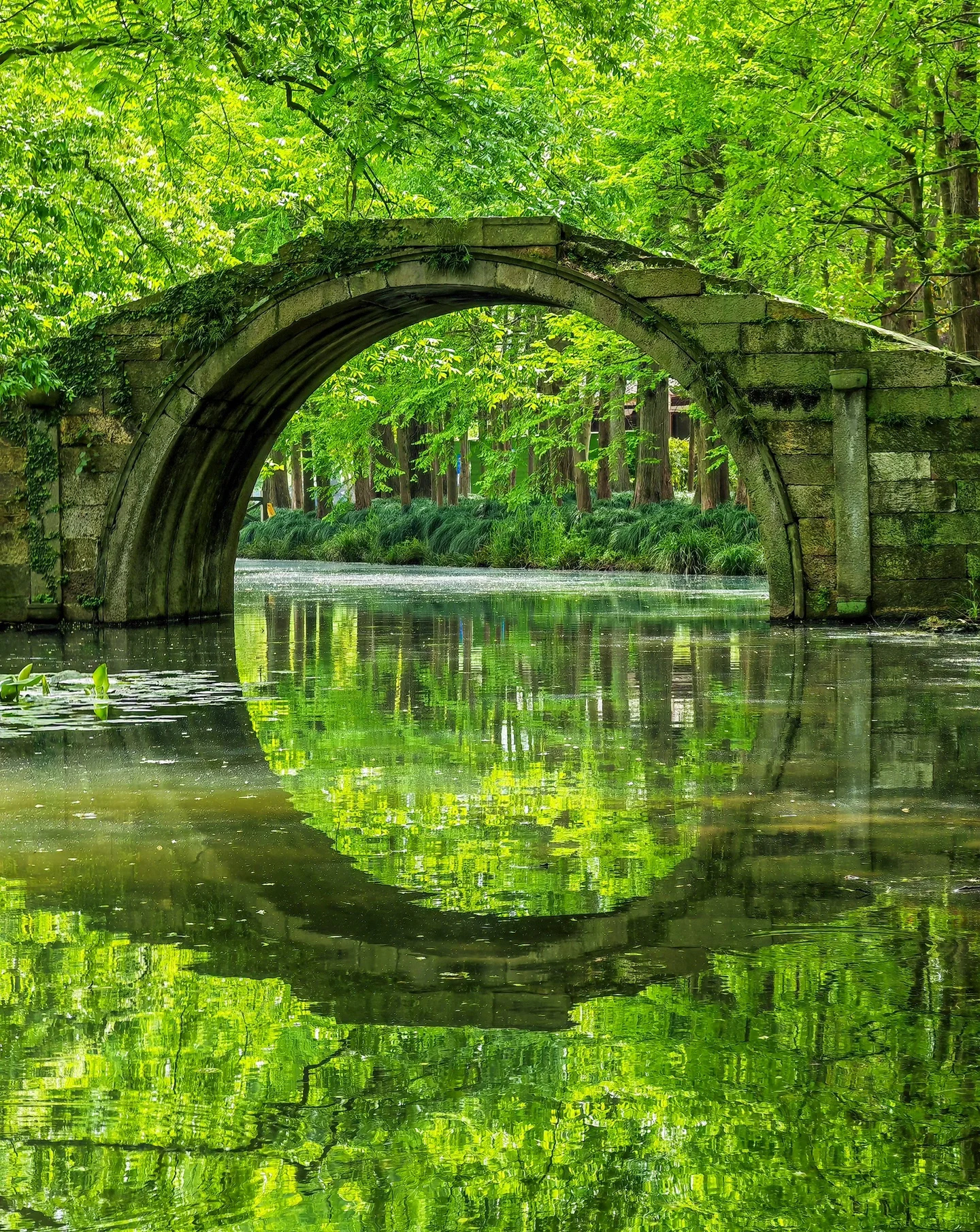 徒步西湖两万步找到zui治愈的路线