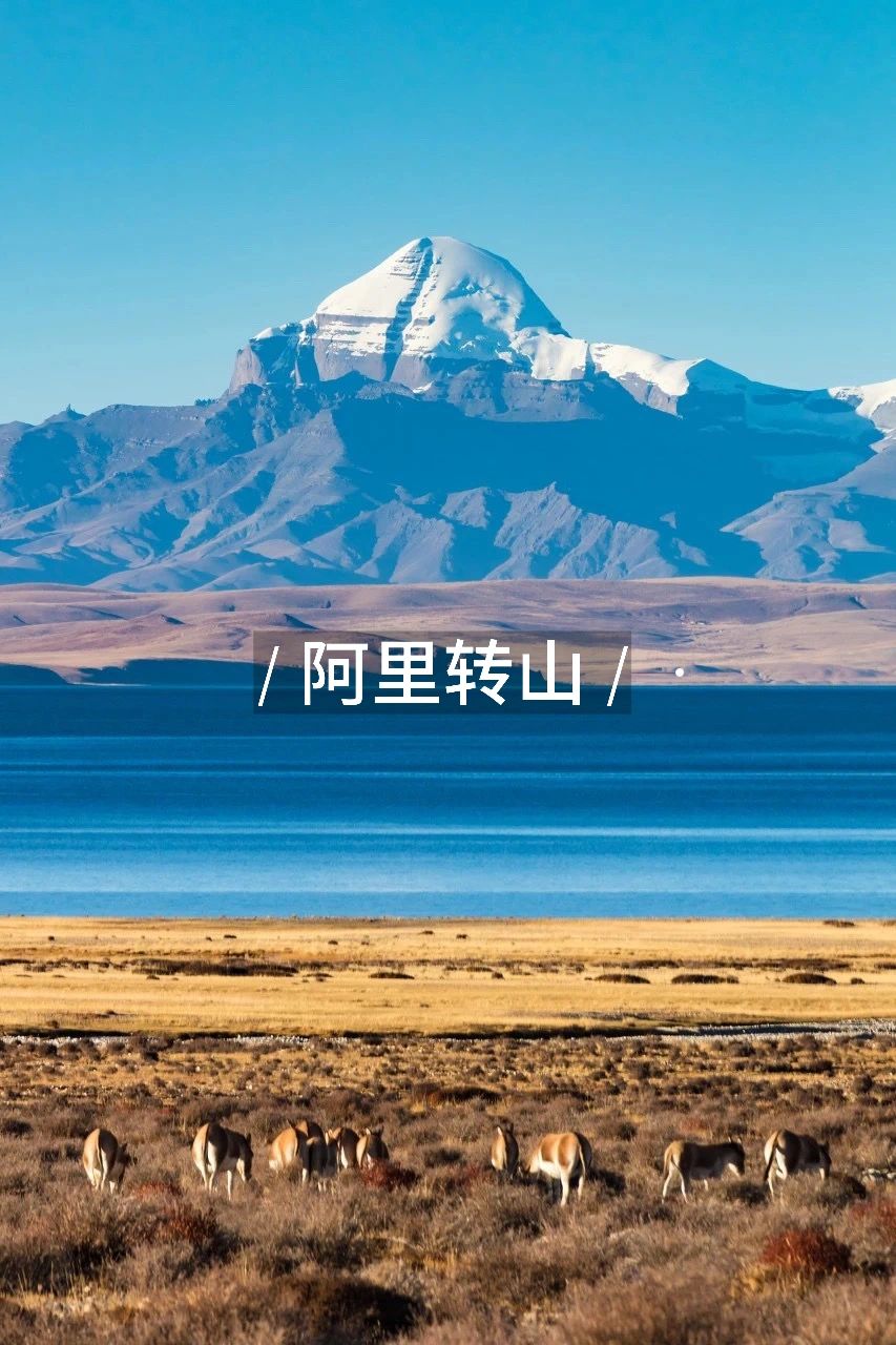 西藏几大经典徒步路线哦