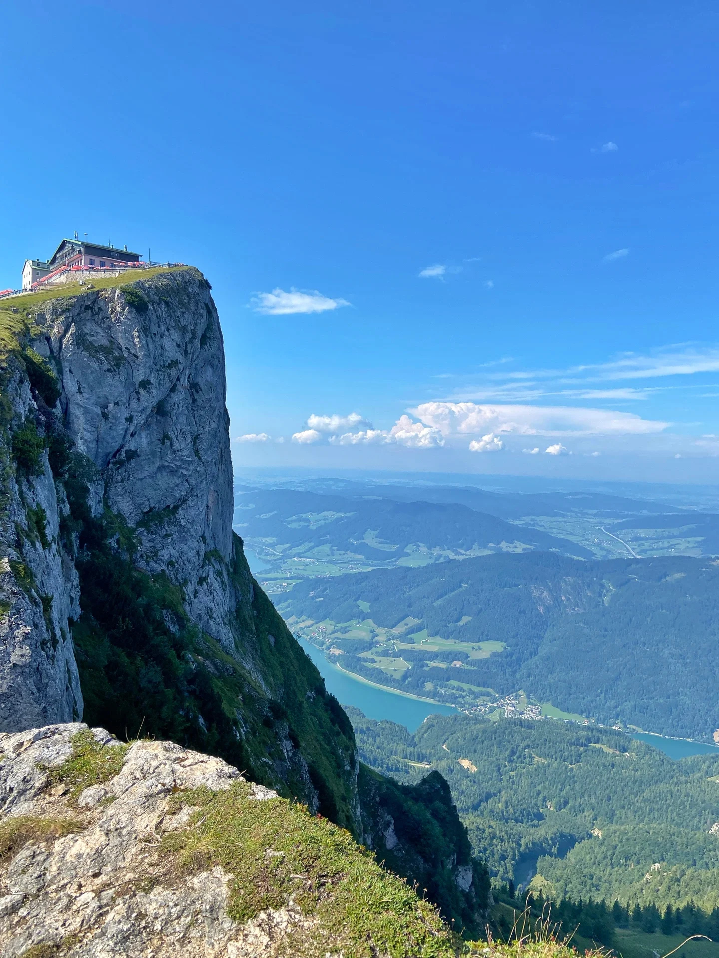 奥地利🇦🇹|七日游超全攻略来啦🐮