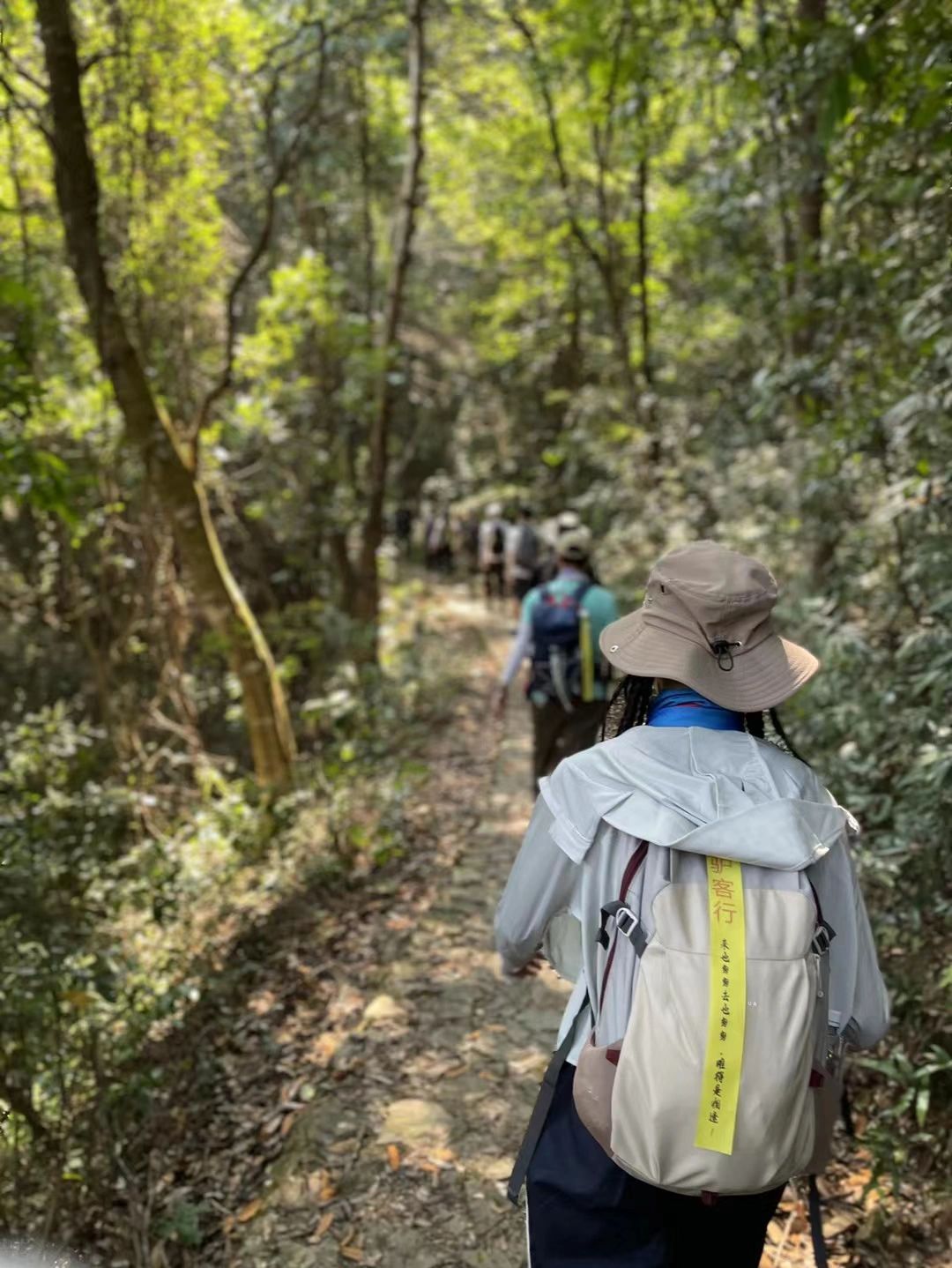 攻略|从化十登之黄茶园，非常适合亲子徒！